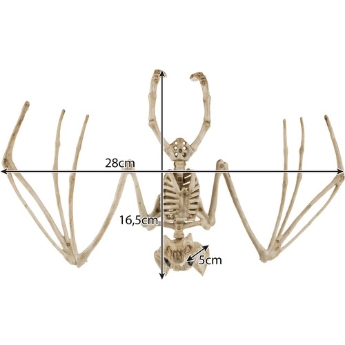 Szkielet nietoperza - dekoracja 30 cm Malatec