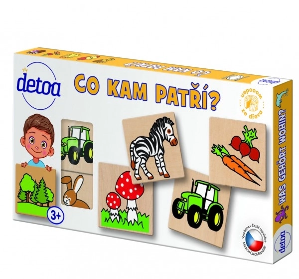 Gra dydaktyczna - Co gdzie pasuje? 36 elementów