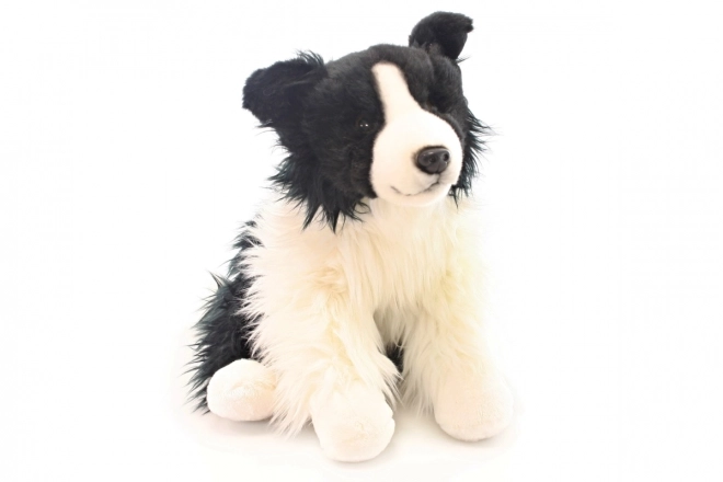 Pluszowy Border collie 35 cm