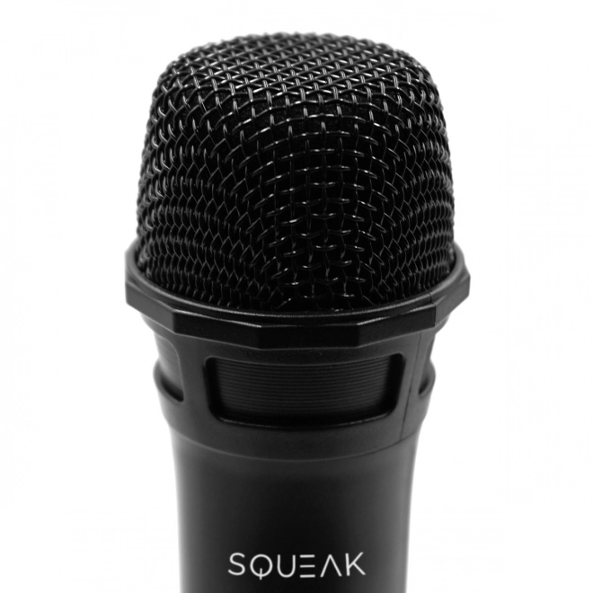 Zestaw mikrofonów do karaoke VocalDuo z zasięgiem 30m