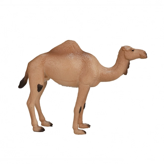 Mojo Animal Planet Wielbłąd jednogarbny