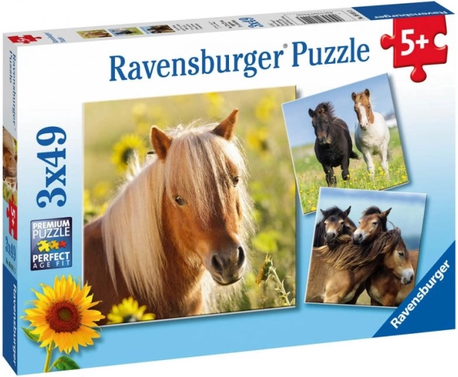 ravensburger puzzle urocze konie 3×49 elementów