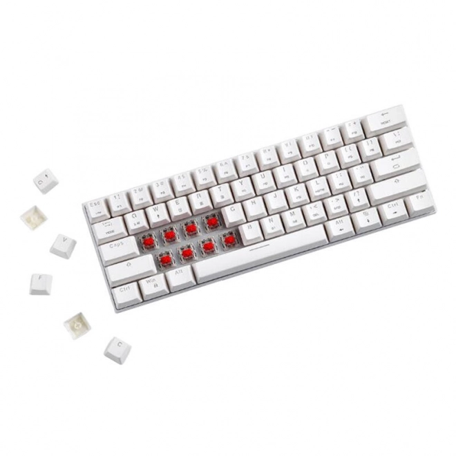 Bezprzewodowa klawiatura mechaniczna Motospeed SK62 White – Niebieski przełącznik