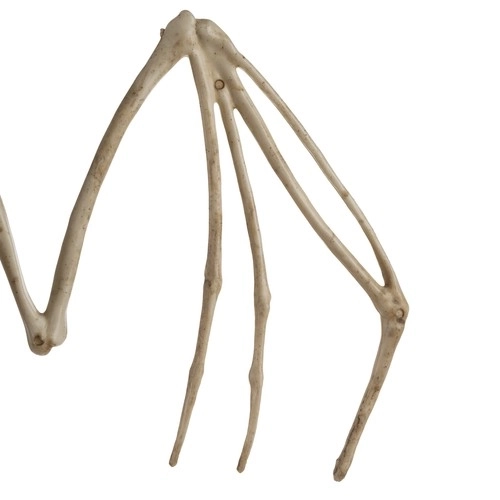 Szkielet nietoperza - dekoracja 30 cm Malatec