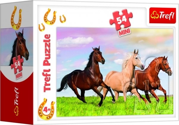 Minipuzzle 54 elementów Konie 4 rodzaje w pudełku 9x6,5x4cm