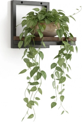 Praktyczne eksponowanie roślin i oszczędność miejsca