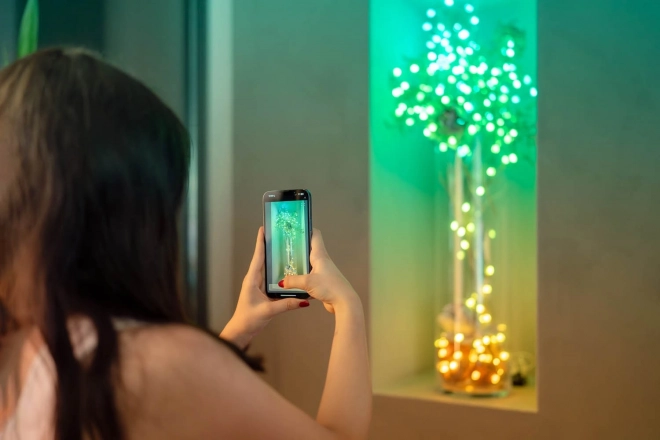 Łańcuchy inteligentnych światełek dekoracyjnych USB-C (Candies) 100 LED RGB, świeczki, zielony kabel, 6 m