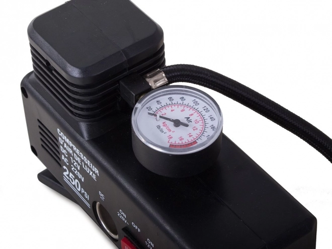 Kompresor samochodowy 12V/230V