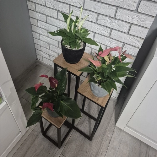 Stojak na kwiaty Ruhhy 67cm