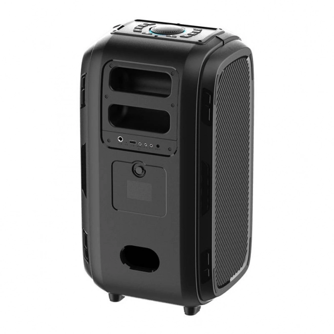Bezprzewodowy głośnik Bluetooth W-KING T9 Pro 120W (czarny)