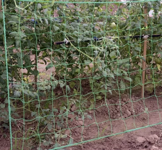 Siatka - podpórka dla roślin 2x10m Gardlov 23978
