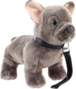 Pluszowy francuski buldog ze smyczą 23 cm