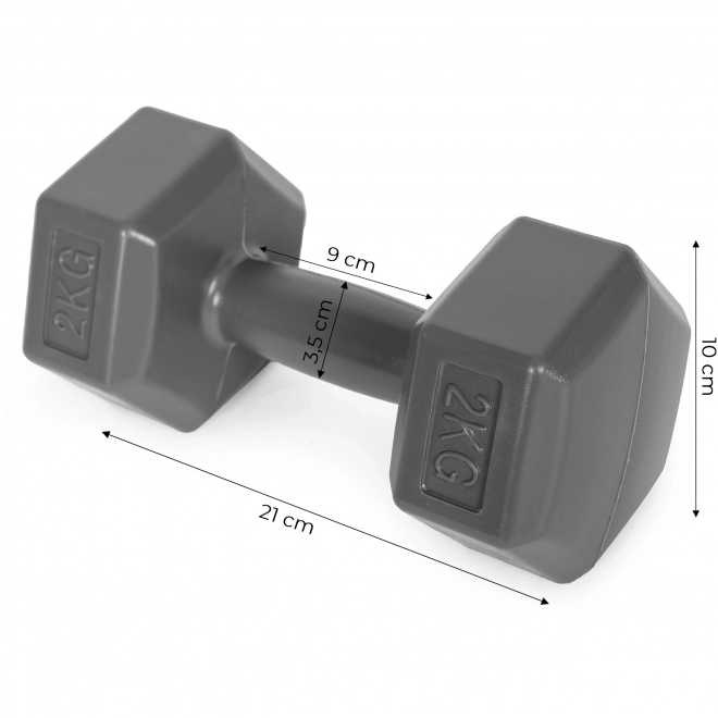 Heksagonalne hantle ModernHome 2x2 kg szare
