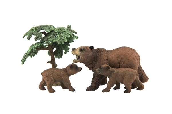Zoo zwierzątka - Niedźwiedzie