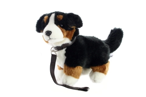 Pluszowy Berneński Pies Pasterski z smyczą 26 cm
