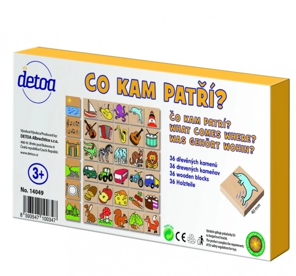 Gra dydaktyczna - Co gdzie pasuje? 36 elementów