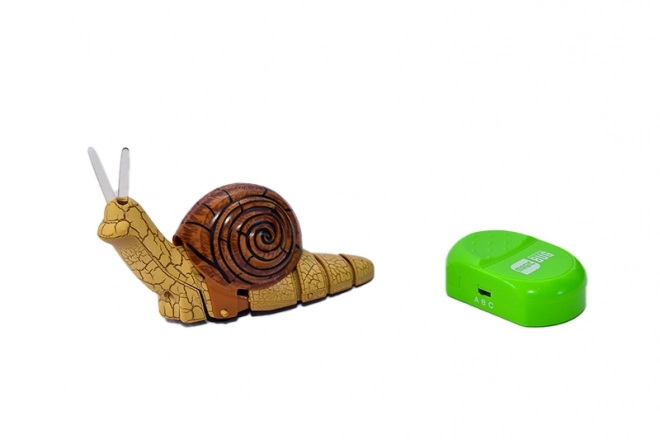 Ślimak na pilota