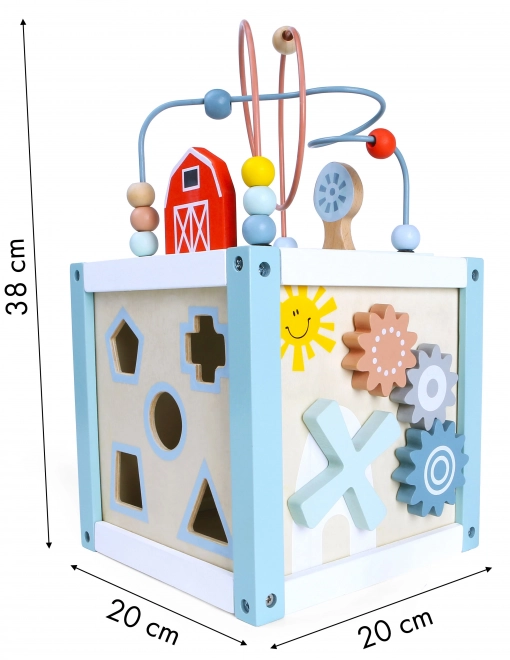 Drewniany sorter klocków z klockami Ecotoys