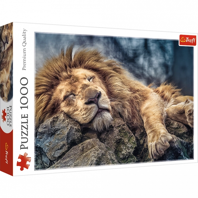 Puzzle Śpiący Lew 1000 elementów w pudełku 40x27x6cm