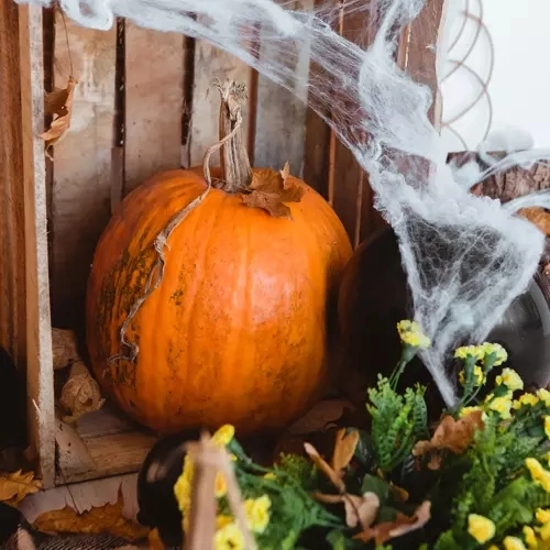 Sztuczna pajęczyna z pająkami na Halloween