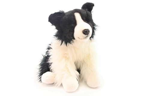 Pluszowy Border collie 35 cm