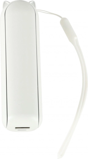 Szybkie i efektywne ładowanie