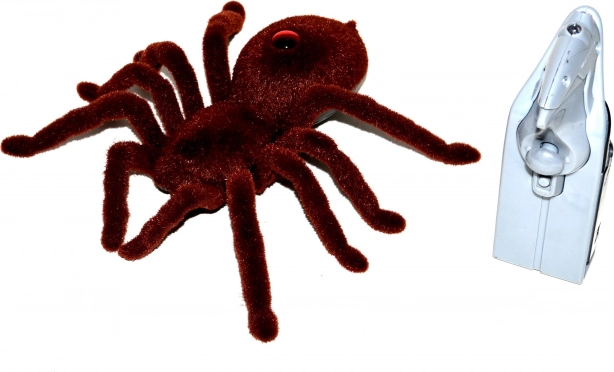 Zdalnie sterowana włochata tarantula 15 cm