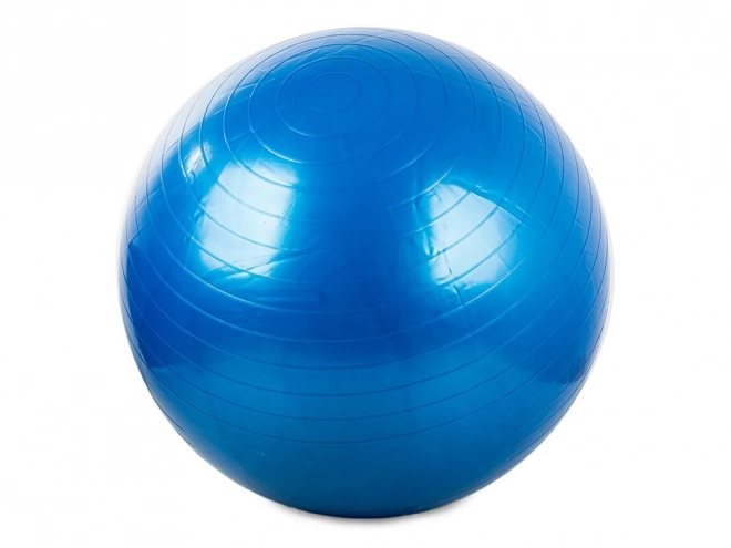 Piłka gimnastyczna Fitness 65 cm z pompką