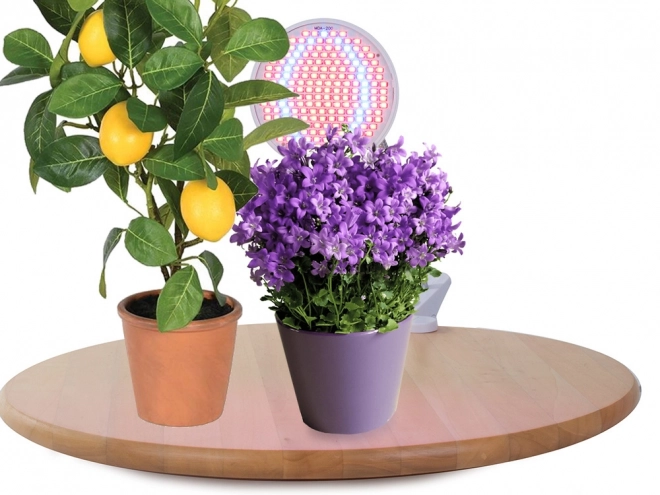 LED lampa do uprawy roślin 20W