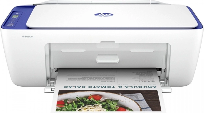 Wielofunkcyjna drukarka HP DeskJet 2821e AIO