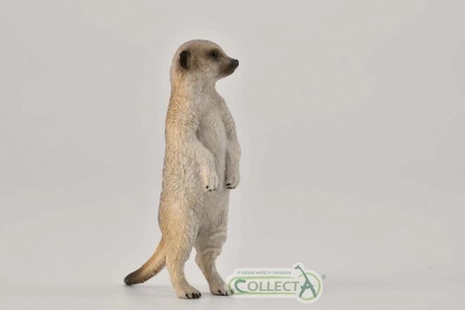Collecta surykatka stojąca figurka