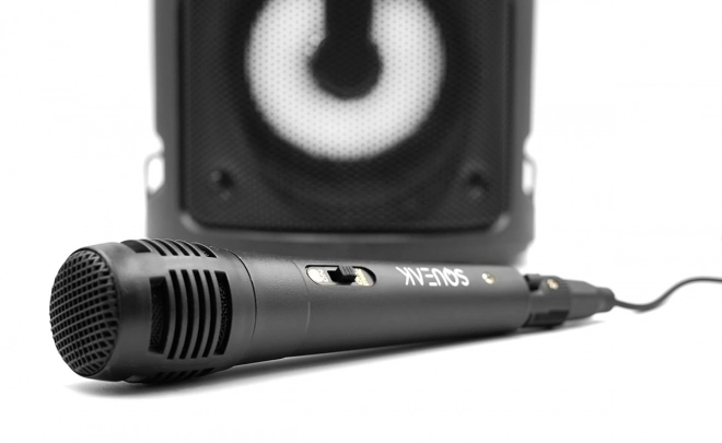 Głośnik Bluetooth Harmony z funkcją karaoke