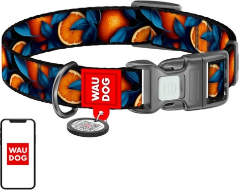 Nylonowa obroża dla psów WAU DOG Oranges z metką QR, rozmiar L