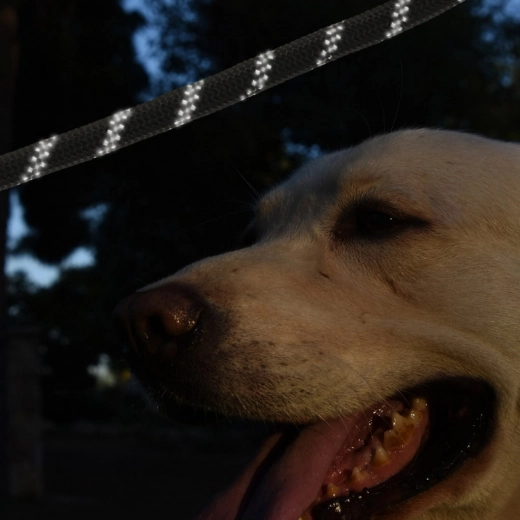 Odblaskowe bezpieczeństwo o zmierzchu