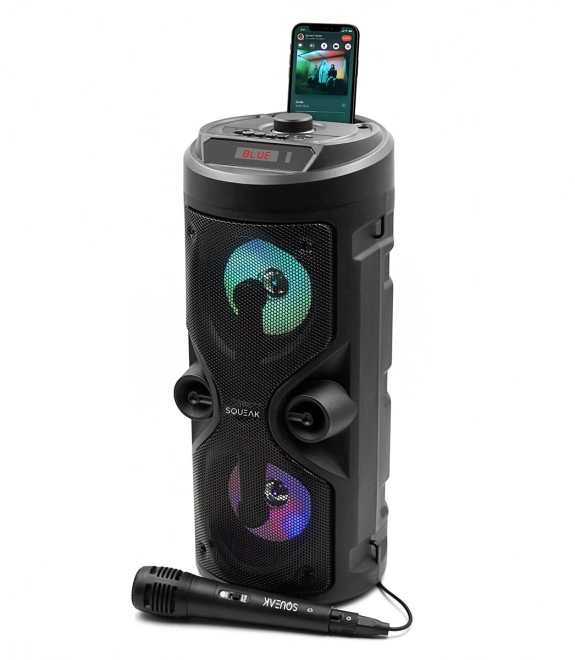 Głośnik Bluetooth Harmony z funkcją karaoke