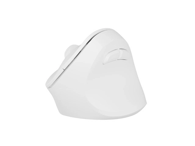 Ergonomiczny design
