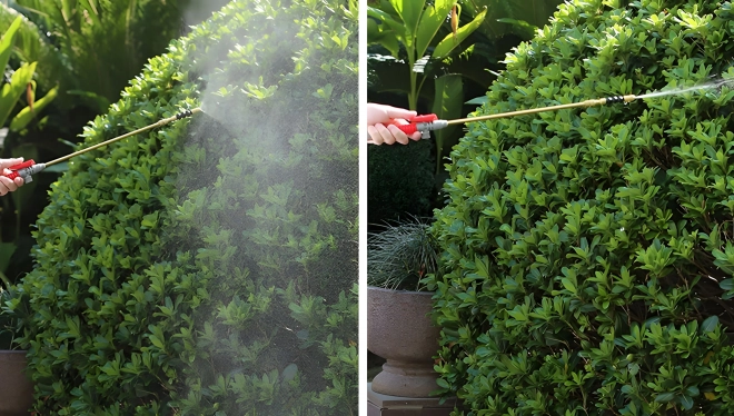 Ręczny opryskiwacz ciśnieniowy ogrodowy MultiGarden 5L