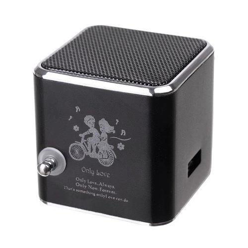 Przenośny głośnik Bluetooth z radiem i wyświetlaczem LCD TD-V26