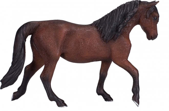 Koń Morgan Palomino