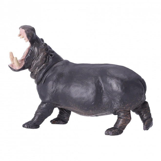 Kolekcjonerska figurka Hipopotam, Papo