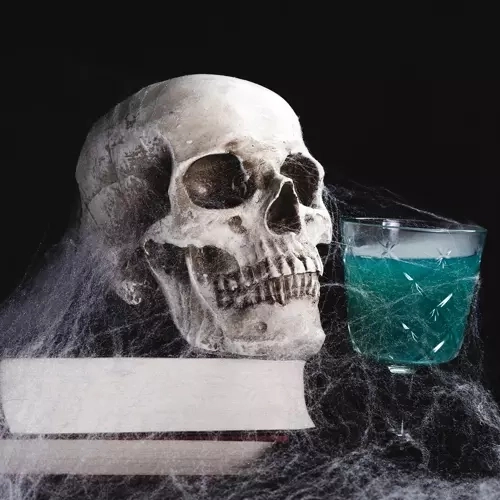 Sztuczna pajęczyna z pająkami na Halloween