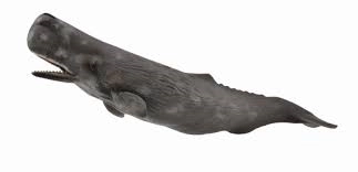 Wieloryb z kolekcji Collecta