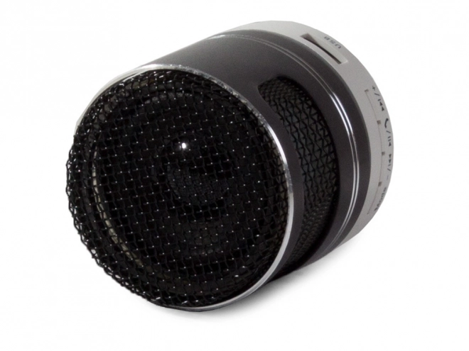 Mini bezprzewodowy głośnik Bluetooth z radiem FM, przenośnym odtwarzaczem MP3, USB i kartą microSD – Czarny