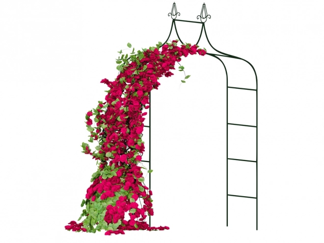 Ogrodowa pergola dla róż