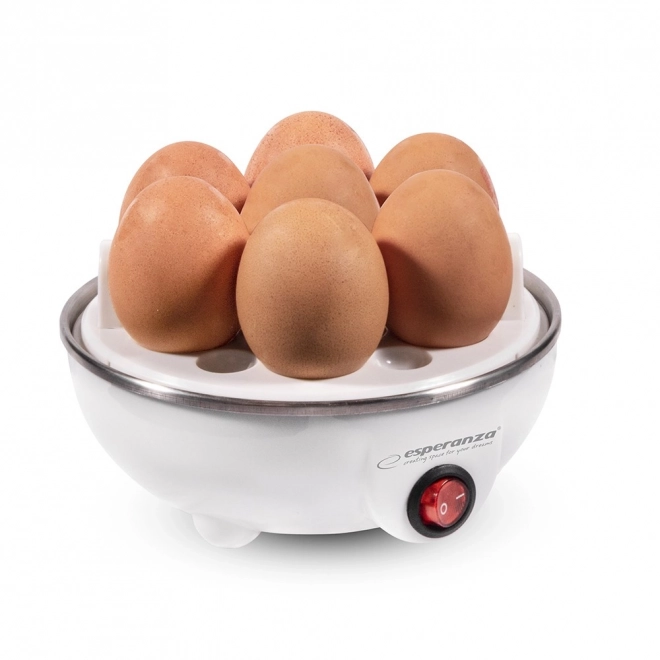 Gotowacz do jajek EGG MASTER