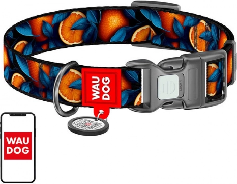 Waudog obroża dla psów „Oranges” z nylonu z kodem QR, rozmiar XL
