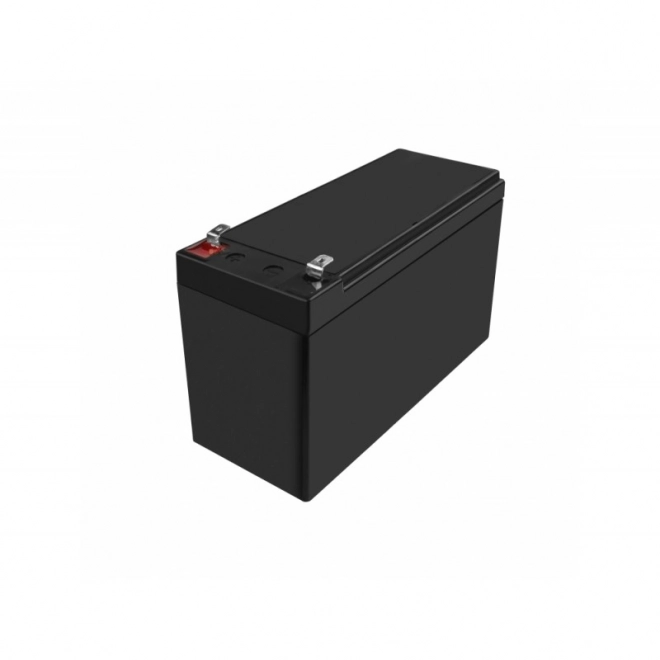 Akumulator AGM VRLA Green Cell AGM50 12V 10Ah (dla UPS, samochodzików, kosiarek do trawy)