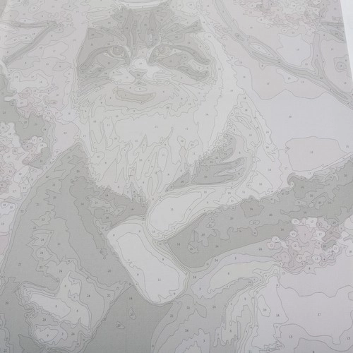 Malowanie po numerach 40x50cm- Maaleo kat. nr 22783