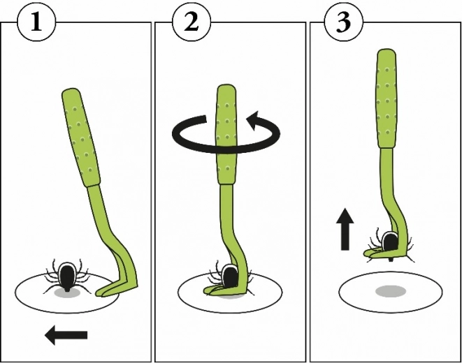 Prosta instrukcja krok po kroku