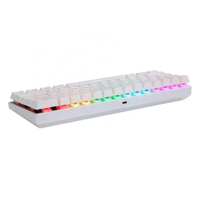Bezprzewodowa klawiatura mechaniczna Motospeed SK62 White – Niebieski przełącznik